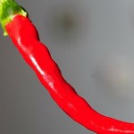 close up red chilli