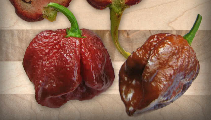 The 13 Hottest Peppers In The World 2020 Update The scoville scale ranks foods in terms of heat units. the 13 hottest peppers in the world