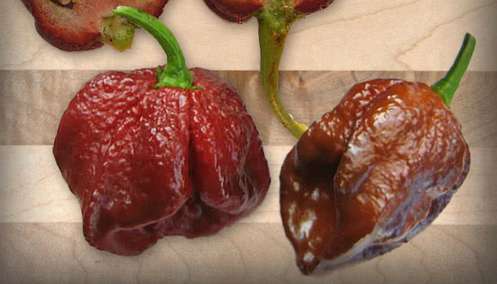 The 13 Hottest Peppers In The World Update