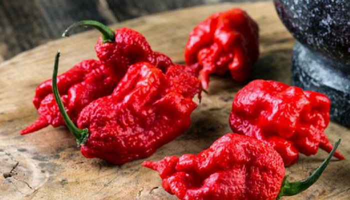 The 13 Hottest Peppers In The World Update