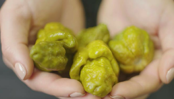 Top 13 Spiciest Peppers in the World, Ranked from Hot to Hottest