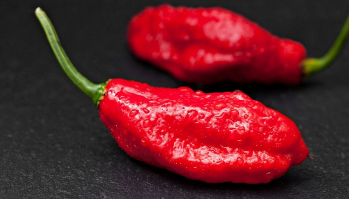 Ghost Pepper